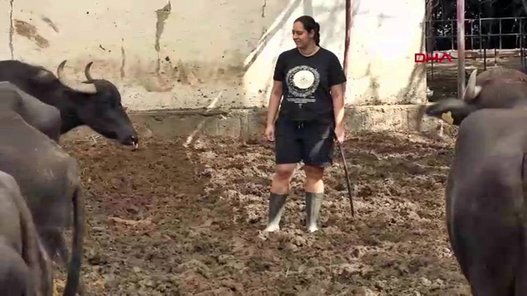 İş bulamayınca köyüne dönüp manda sütü satmaya başladı: Şimdi patron oldu! İletişim fakültesi mezunuydu, besici oldu 15